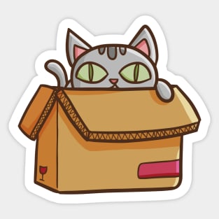 Cat Peek Out of the Cardboard Sticker